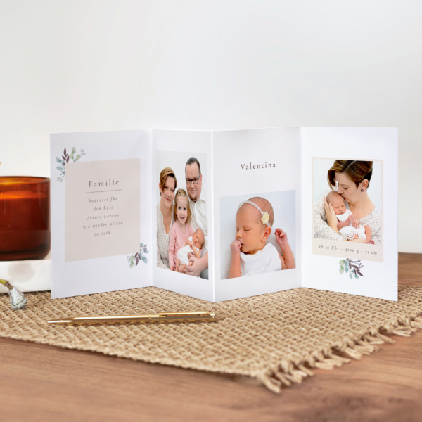 Leporello Olive